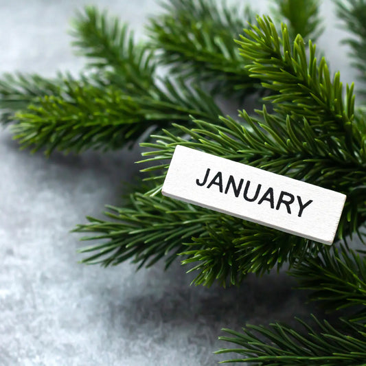 Newsletter - January 2026